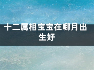 十二属相宝宝在哪月出生好