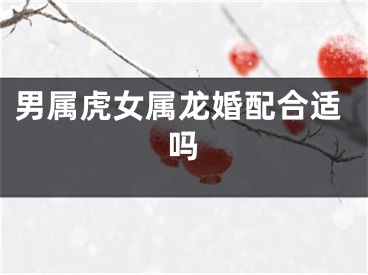 男属虎女属龙婚配合适吗