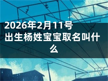 2026年2月11号出生杨姓宝宝取名叫什么