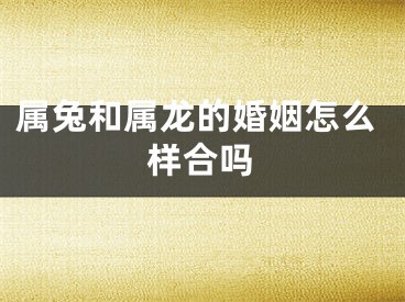 属兔和属龙的婚姻怎么样合吗