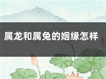 属龙和属兔的姻缘怎样