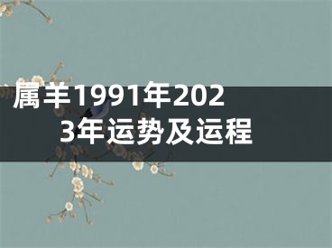 属羊1991年2023年运势及运程