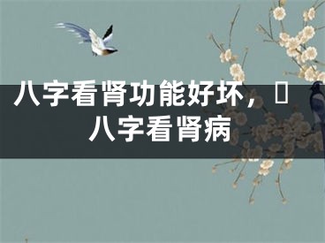 八字看肾功能好坏，​八字看肾病