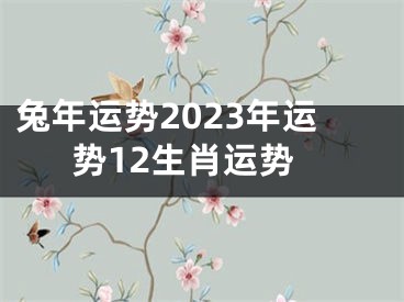 兔年运势2023年运势12生肖运势