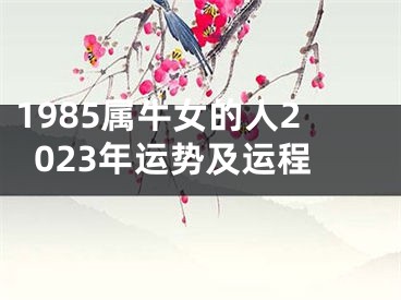 1985属牛女的人2023年运势及运程