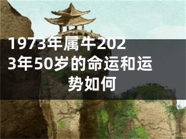 1973年属牛2023年50岁的命运和运势如何