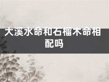 大溪水命和石榴木命相配吗