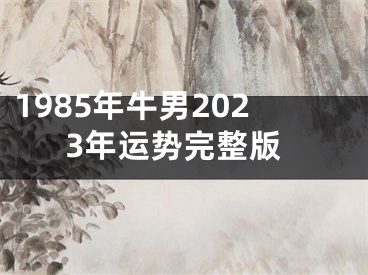 1985年牛男2023年运势完整版