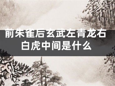 前朱雀后玄武左青龙右白虎中间是什么