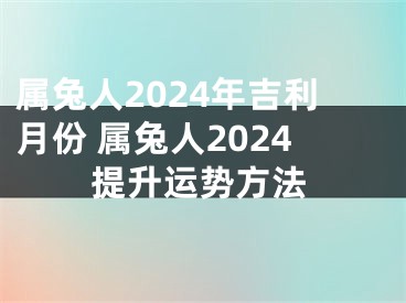 属兔人2024年吉利月份 属兔人2024提升运势方法