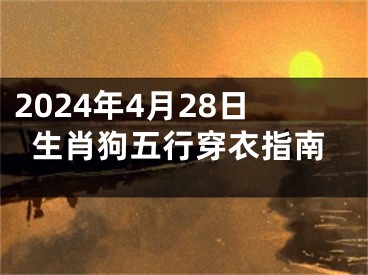 2024年4月28日生肖狗五行穿衣指南