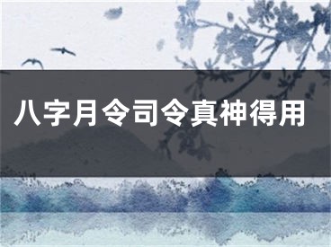 八字月令司令真神得用