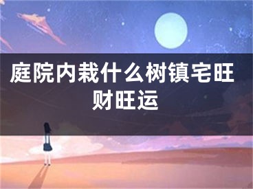 庭院内栽什么树镇宅旺财旺运