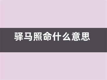 驿马照命什么意思