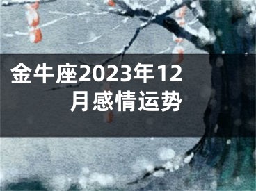 金牛座2023年12月感情运势