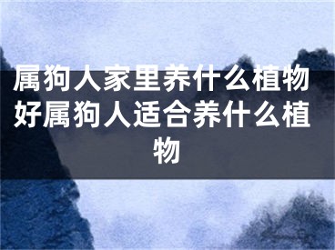 属狗人家里养什么植物好属狗人适合养什么植物