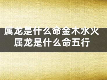 属龙是什么命金木水火属龙是什么命五行