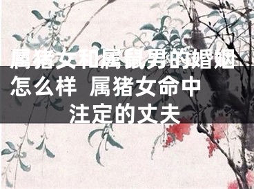 属猪女和属鼠男的婚姻怎么样  属猪女命中注定的丈夫