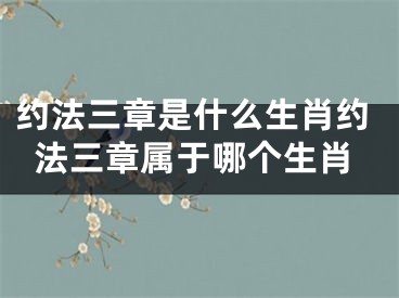 约法三章是什么生肖约法三章属于哪个生肖