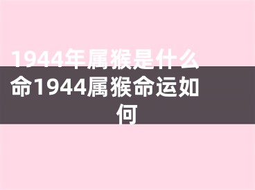 1944年属猴是什么命1944属猴命运如何