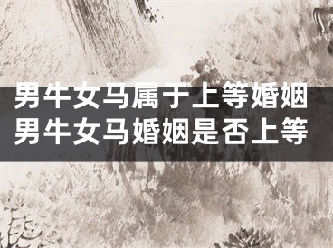 男牛女马属于上等婚姻男牛女马婚姻是否上等