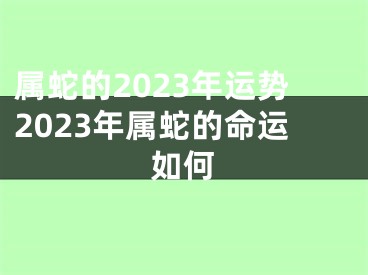 属蛇的2023年运势2023年属蛇的命运如何
