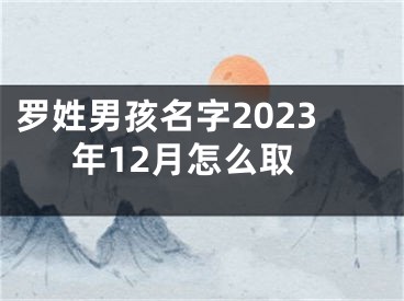 罗姓男孩名字2023年12月怎么取
