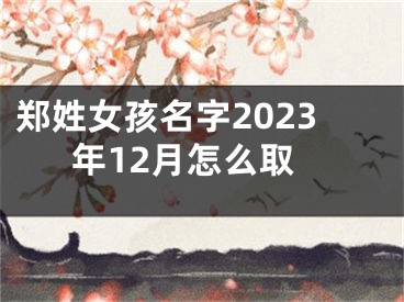 郑姓女孩名字2023年12月怎么取