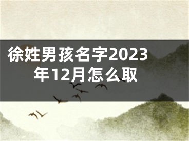 徐姓男孩名字2023年12月怎么取