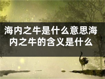 海内之牛是什么意思海内之牛的含义是什么