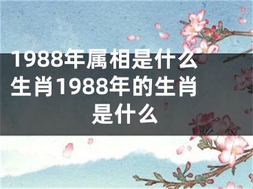 1988年属相是什么生肖1988年的生肖是什么