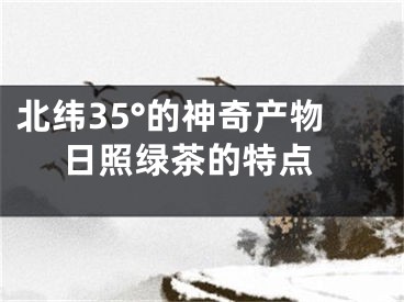 北纬35°的神奇产物 日照绿茶的特点