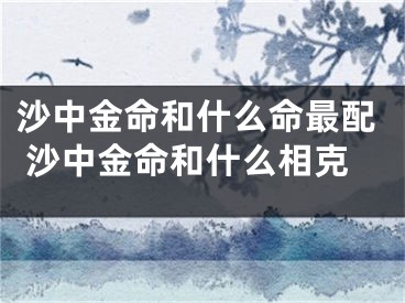 沙中金命和什么命最配 沙中金命和什么相克