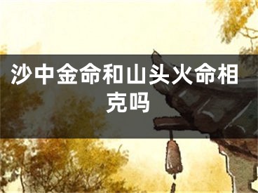 沙中金命和山头火命相克吗