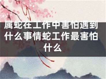 属蛇在工作中害怕遇到什么事情蛇工作最害怕什么