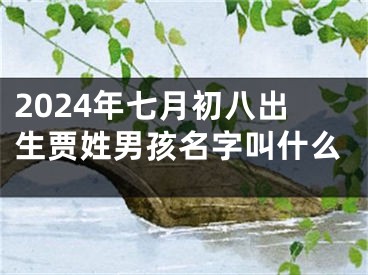 2024年七月初八出生贾姓男孩名字叫什么