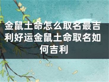 金鼠土命怎么取名最吉利好运金鼠土命取名如何吉利