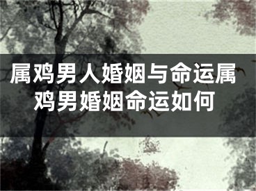 属鸡男人婚姻与命运属鸡男婚姻命运如何