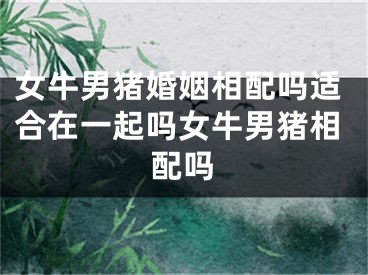 女牛男猪婚姻相配吗适合在一起吗女牛男猪相配吗