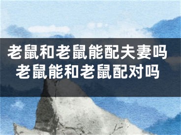 老鼠和老鼠能配夫妻吗老鼠能和老鼠配对吗