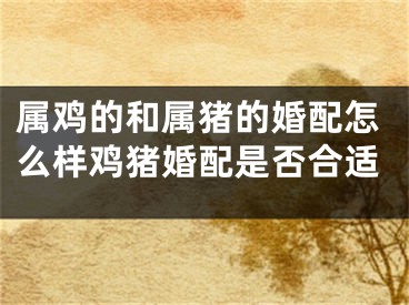 属鸡的和属猪的婚配怎么样鸡猪婚配是否合适