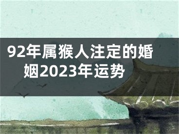92年属猴人注定的婚姻2023年运势
