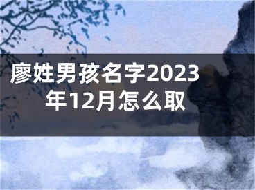 廖姓男孩名字2023年12月怎么取