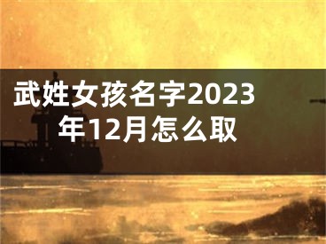 武姓女孩名字2023年12月怎么取
