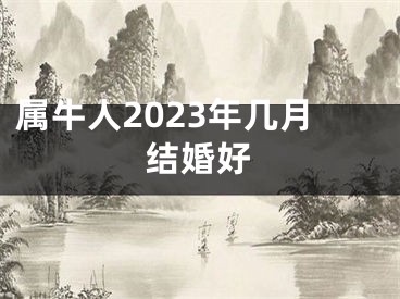 属牛人2023年几月结婚好
