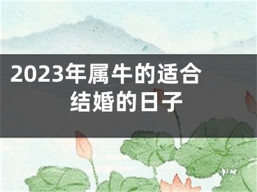 2023年属牛的适合结婚的日子
