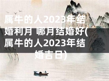属牛的人2023年结婚利月 哪月结婚好(属牛的人2023年结婚吉日)