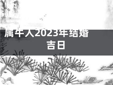 属牛人2023年结婚吉日