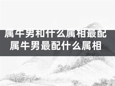 属牛男和什么属相最配属牛男最配什么属相