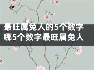 最旺属兔人的5个数字哪5个数字最旺属兔人